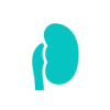 nephrologist